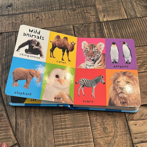 First 100 Board Book Box Set (3 books) - Picture 8 of 8